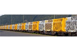 B-Models H0 Innofreight WoodTainer Safari-Zug, 4-tlg. (Limitierte Sonderserie) *werkseitig ausverkauft*