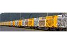 B-Models H0 Innofreight WoodTainer Safari-Zug, 4-tlg. (Limitierte Sonderserie) *werkseitig ausverkauft*