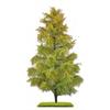 Busch H0/TT Exklusiv Nadelbaum Lärche, Spätsommer, 210 mm