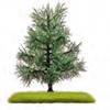 Busch H0/TT/N Exklusiv Nadelbaum Tanne, 80 mm (Inhalt: 2 Stk.)