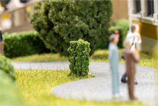 Faller H0/TT/N 10 Vorgartenbäume, Thuja, säulenförmig