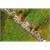 Faller H0/TT/N Streumaterial Flusssteine (Inhalt: 600 g)