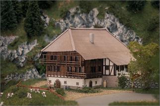 Faller Z Jubiläumsmodell - Schwarzwaldhof