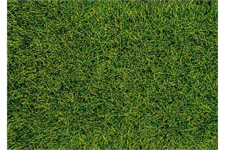Heki decovlies Wildgras Moorboden 5-6 mm, 28x14 cm