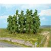 Heki H0/TT Buchen 11-13 cm (Inhalt: 10 Stk.)