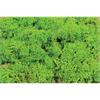 Heki Islandmoos hellgrün 250 g