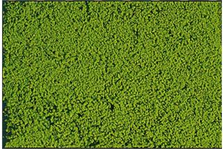 Heki mikrolaub Belaubungsflocken hellgrün, 200 ml