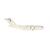 Herpa 1:500 United Arab Emirates Air Force Boeing C-17A Globemaster III, 1228
