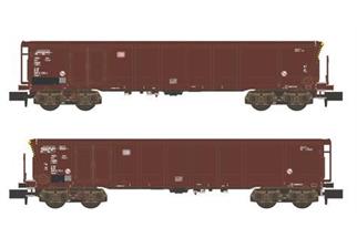 Hobbytrain N DB Wagenset Tamns 893, Logo braun, 2-tlg.