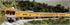 Kato N UP Personenwagen-Set Excursion Train, 7-tlg. [106-086] | Bild 2