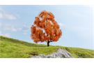 Noch Master-Baum Ahorn, herbstlich,15 cm
