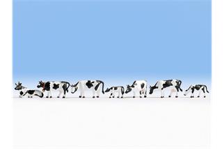 Noch N Kühe, schwarz-weiss *werkseitig ausverkauft*