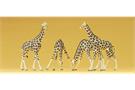 Preiser N Giraffen