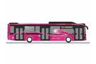 Rietze H0 MAN Lion´s City 12´18 CNG Wiener Neustadt - Magenta (AT)