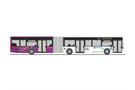 Rietze H0 MB Citaro G 06 Connexxion - Zeeland (NL)