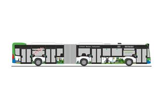 Rietze H0 MB Citaro G '15, regiobus Potsdam Mittelmark