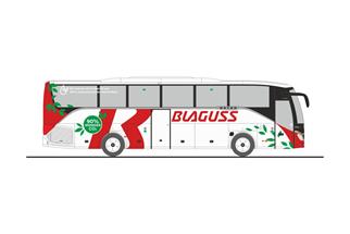 Rietze H0 Setra S 515 HD, Blaguss