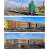 Sudexpress H0 Innofreight Container-Doppeltragwagen-Set Sggmrrs 90', Ep. VI, 3-tlg.