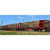 Sudexpress N Ibercargo Container-Doppeltragwagen Sggmrrs, Smart GigaWood, Ep. VI
