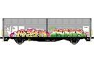 Albert Modell H0 H-TWA Schiebewandwagen Hbbillns, Teil-Graffiti - MR 5ER, Ep. VI