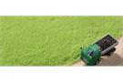 Auhagen H0/N Grasfasern hellgrün 4.5 mm (Inhalt: 50 g)