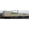 B-Models H0 Ambrogio Doppel-Containertragwagen Sggmrss 90', Ambrogio, 3. Betriebsnummer