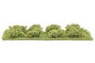 Busch H0/TT/N Micro-Sträucher, Frühling, 20 mm (Inhalt: 8 Stk.)
