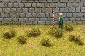 Faller Blütenbüschel, dunkelgrün