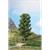 Heki H0 Buche 20 cm