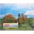 Heki H0/N/Z Laubbäume und Büsche herbstlich (Inhalt: 15 Stk.)