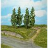 Heki H0 Pappeln 14 cm (Inhalt: 4 Stk.)