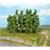 Heki H0/TT Buchen 11-13 cm (Inhalt: 10 Stk.)