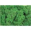 Heki Islandmoos dunkelgrün 250 g