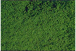 Heki mikroflor Belaubungsvlies dunkelgrün, 28x14 cm