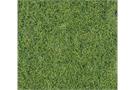 Heki Wildgrasmatte wiesengrün 6 mm, 40x24 cm (Inhalt: 2 Stk.)