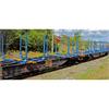 NMJ H0 Railcare/THREE T Holztransportwagen Sgs 33 74 454 0 203-1