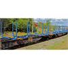 NMJ H0 Railcare/THREE T Holztransportwagen Sgs 33 74 454 0 203-1