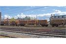 NMJ H0 Railcare/THREE T Holztransportwagen Sgs 33 74 454 0 210-6 mit Holzbeladung