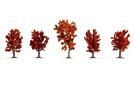 Noch H0/N/Z Herbstbäume, 8 cm (Inhalt: 5 Stk.)
