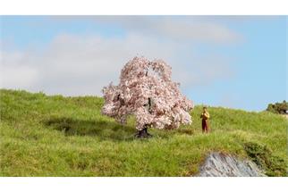 Noch Kirschbaum, 6 cm