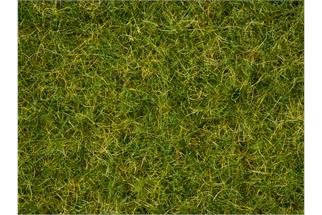 Noch Master-Grasmischung Sommerwiese, 2,5-6 mm