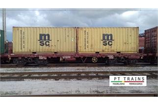 PT Trains H0 Medway Containertragwagen Sgs mit 2 20'-Container msc, Ep. VI