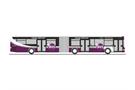 Rietze H0 MAN Lion's City G '15, Regionalverkehr Westsachsen - PlusBus