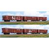 ACME H0 DB AG Rolldachwagen-Set Tamns 895, DB Cargo - Graffiti, gealtert, Ep. V-VI, 3-tlg.