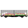 Albert Modell H0 H-TWA Schiebewandwagen Hbbillns, Teil-Graffiti - MR 5ER, Ep. VI