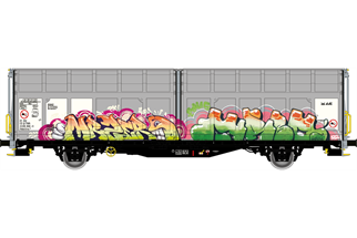 Albert Modell H0 H-TWA Schiebewandwagen Hbbillns, Teil-Graffiti - MR 5ER, Ep. VI