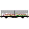 Albert Modell H0 H-TWA Schiebewandwagen Hbbillns, Teil-Graffiti - MR 5ER, Ep. VI