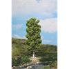 Heki H0 Birke 20 cm