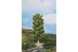 Heki H0 Birke 20 cm