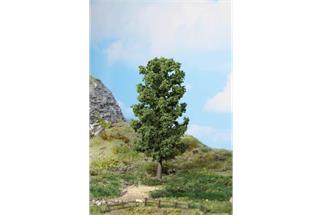 Heki H0 Buche 20 cm